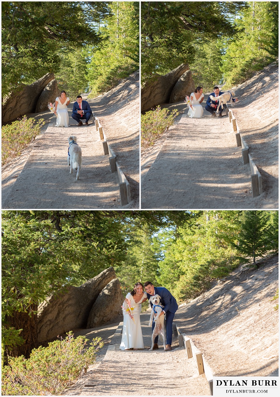 sapphire point overlook elopement wedding bride goom with dog