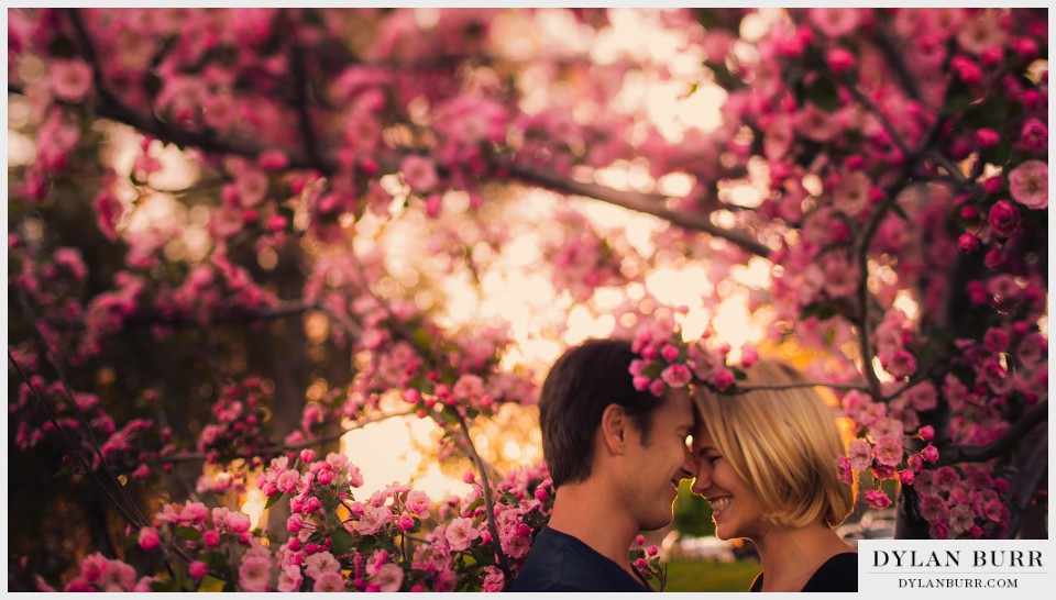 denver spring blossoms engagement photography