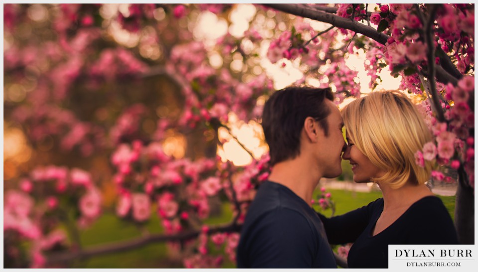 spring blossoms colorado engagement photos