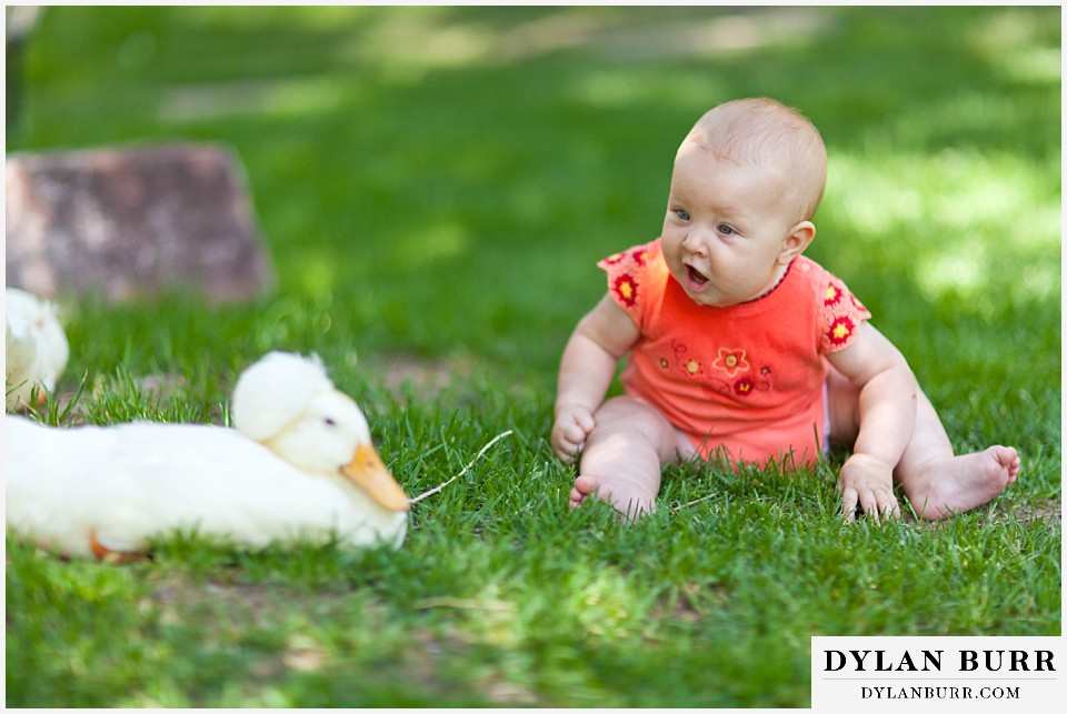 stone mountain lodge wedding baby talking to duck in grass