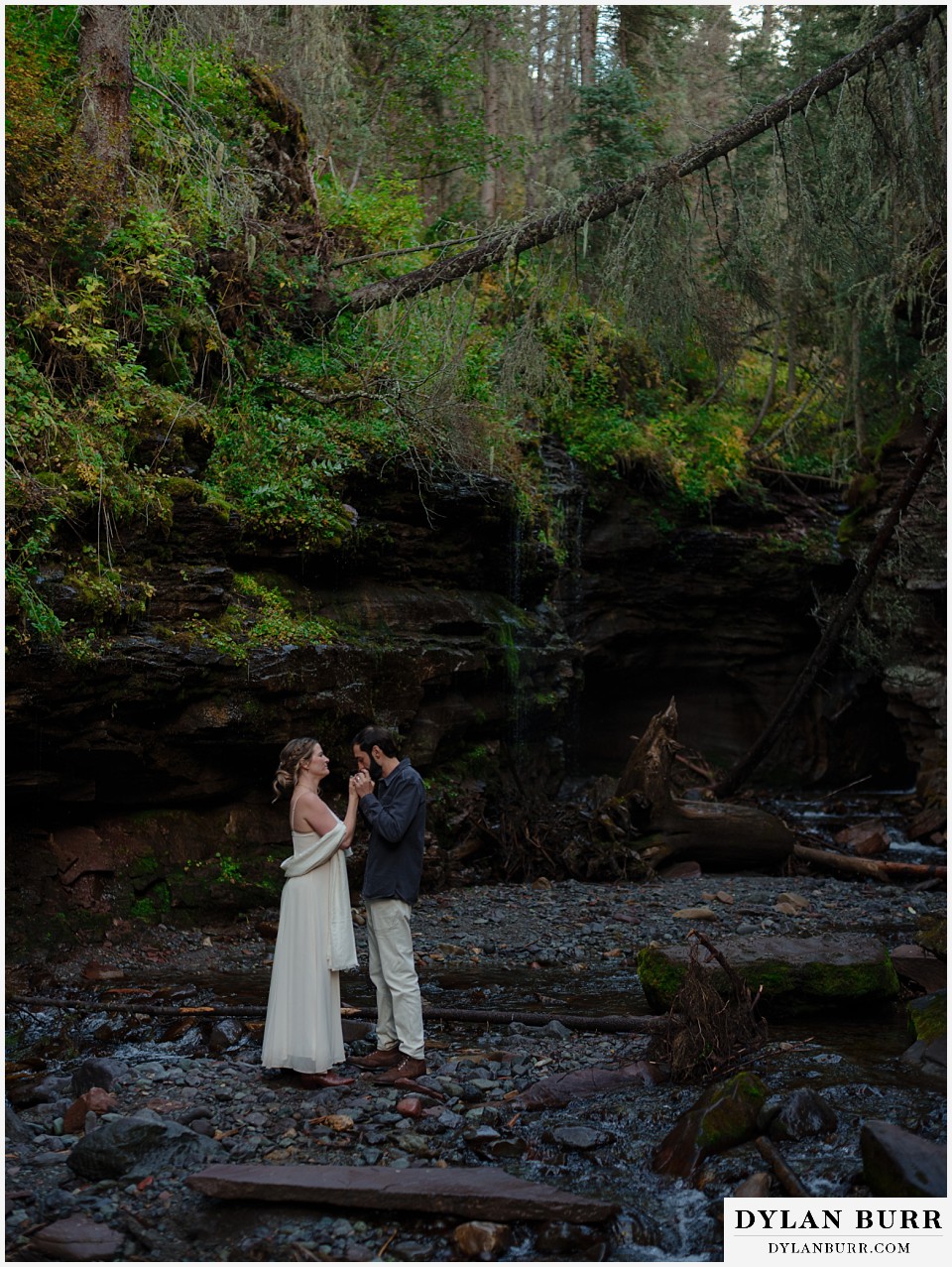 telluride elopement wedding groom kissing wifes hands in deep green dark forest