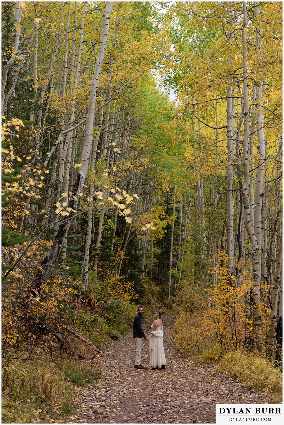 telluride elopement wedding newlywed couple looking back in fall aspen tree forest