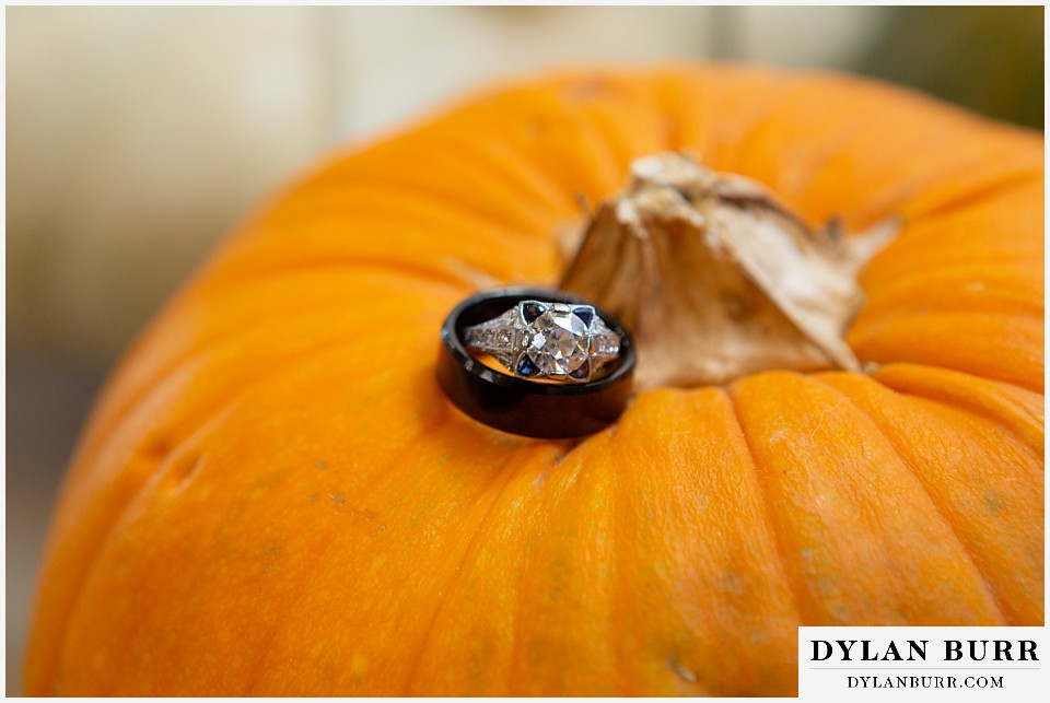 the covey fort collins wedding venue wedding rings on a pumpkin