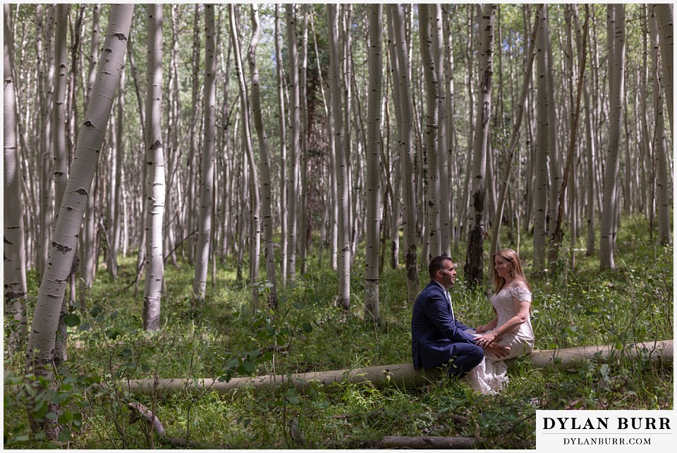 uncompahgre national forest colorado elopement wedding adventure bride and groom sitting on tree together