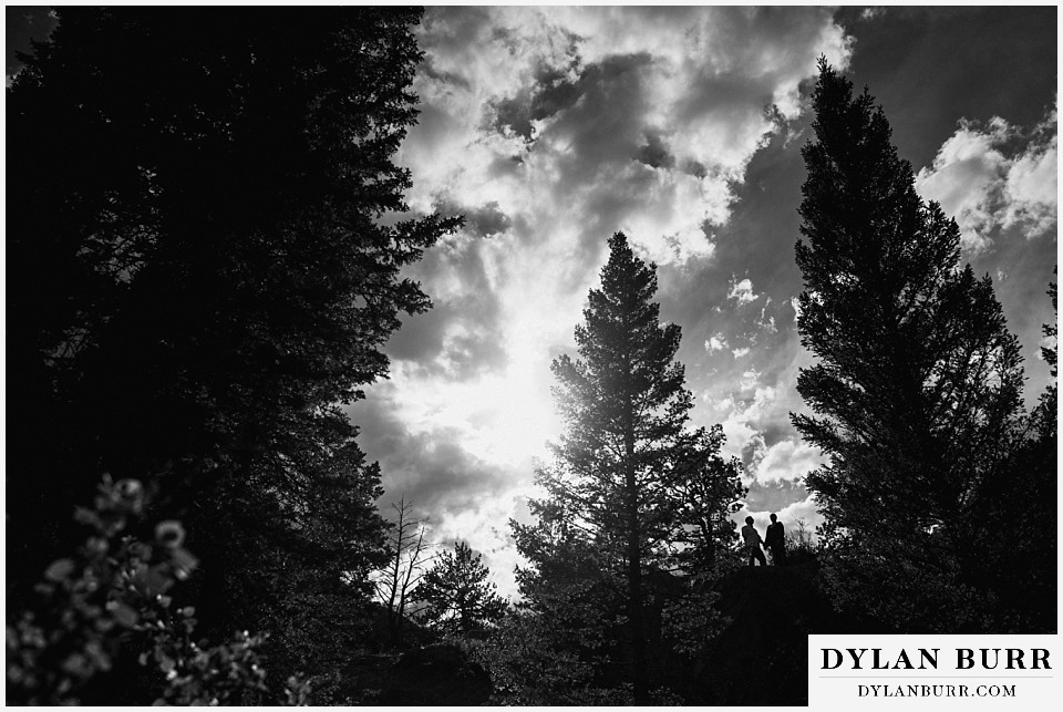 engagement session rocky mountain national park dramatic silhouette with pine trees