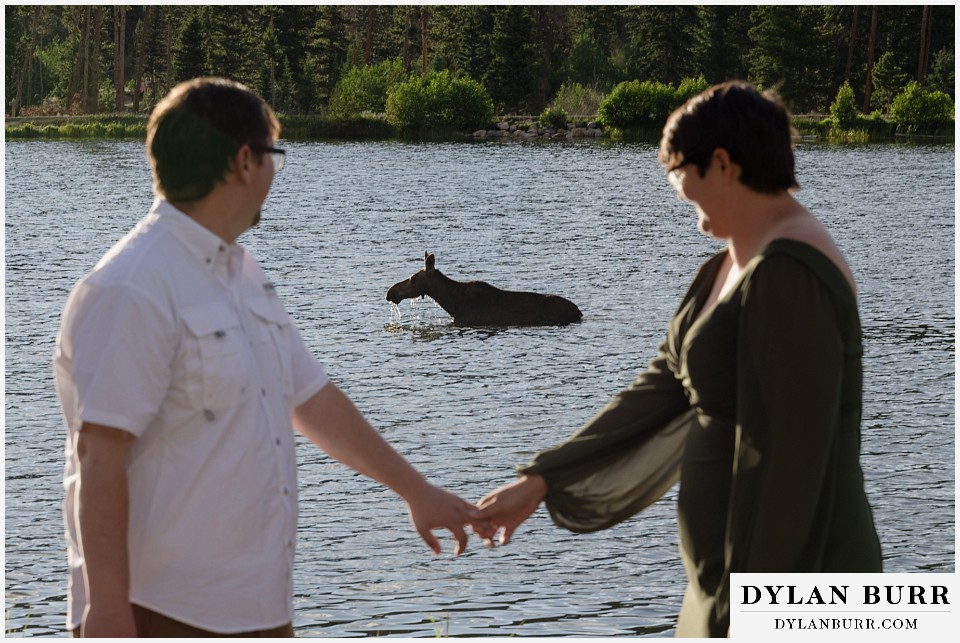 water engagement session rocky mountain national park moose in sprague lake behind couple