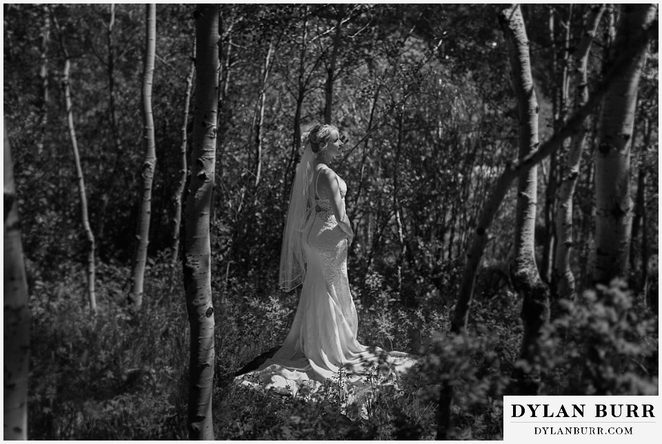 wild basin lodge wedding bride standing alone in aspen trees
