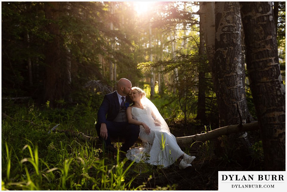 bride and groom resting in the trees with some sun glow