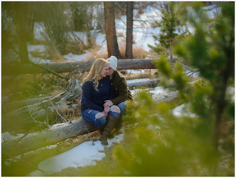 engagement photos couple snuggling together in the pine trees